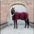 Kentucky Sammets Show Rug, 160g, vinröd