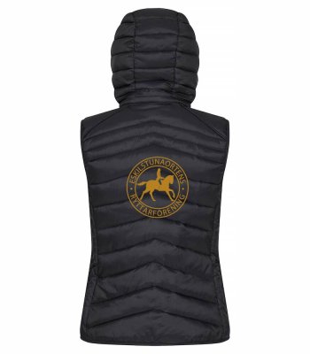 Zoom bild av Idaho väst Dam