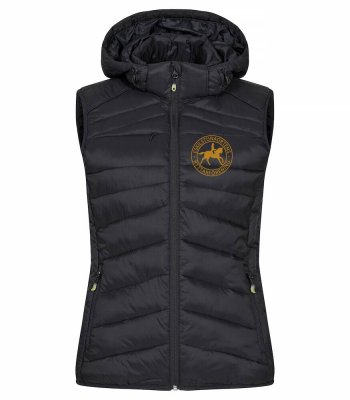 Zoom bild av Idaho väst Dam