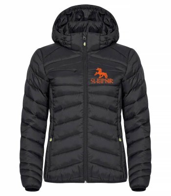 Zoom bild av Idaho jacka Dam