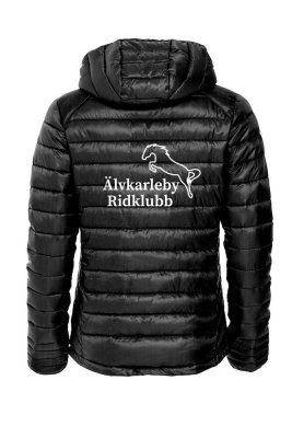 Zoom bild av Hudson dam