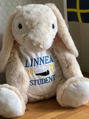 Zoom bild av Studentnalle med namn och årtal