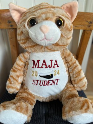 Zoom bild av Studentnalle med namn och årtal