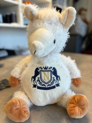 Zoom bild av Studentnalle med namn och årtal