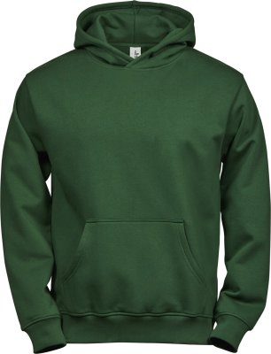 Zoom bild av Hoodie,Power hoodie,junior,junior hoodie,ekologisk bomull