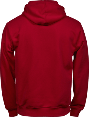 Zoom bild av Hoodie,Power hoodie,junior,junior hoodie,ekologisk bomull