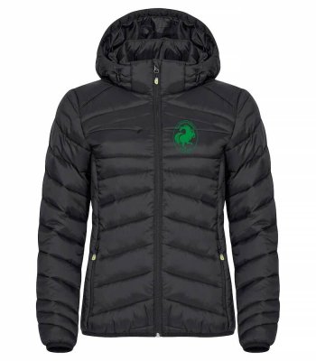 Zoom bild av Idaho jacka Dam