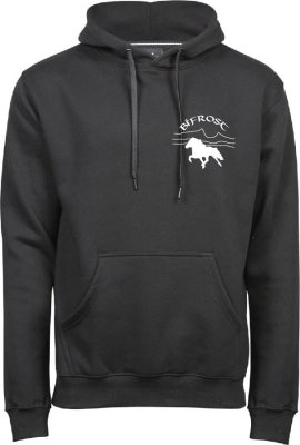 Zoom bild av Herr hoodie