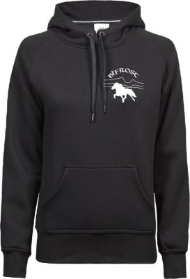 Zoom bild av Dam hoodie