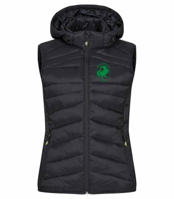 Zoom bild av Idaho väst Dam