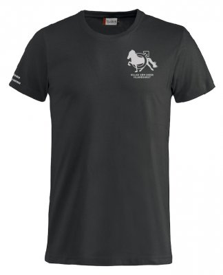 T-shirt,t-shirt med klubblogga,killar som rider islandshäst