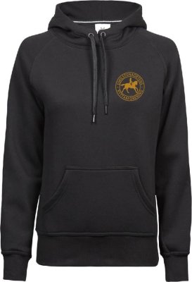 Zoom bild av Dam hoodie