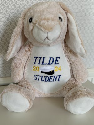 Zoom bild av Studentnalle med namn och årtal