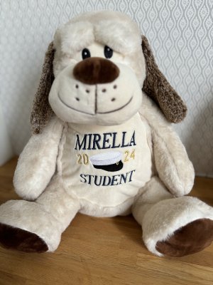 Zoom bild av Studentnalle med namn och årtal