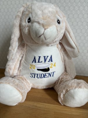 Zoom bild av Studentnalle med namn och årtal