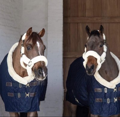 Zoom bild av Kentucky Show Rug, 160g, marinblå