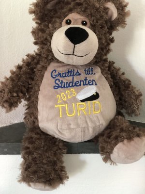 Zoom bild av Studentnalle med Grattis till Studenten