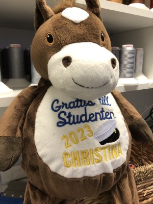 Zoom bild av Studentnalle med Grattis till Studenten