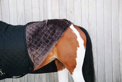 Zoom bild av Kentucky Show Rug, 160g, svart.